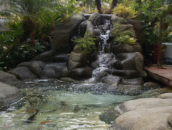 Vida e Arte Paisagismo e Decoração, Maricá, São Gonçalo