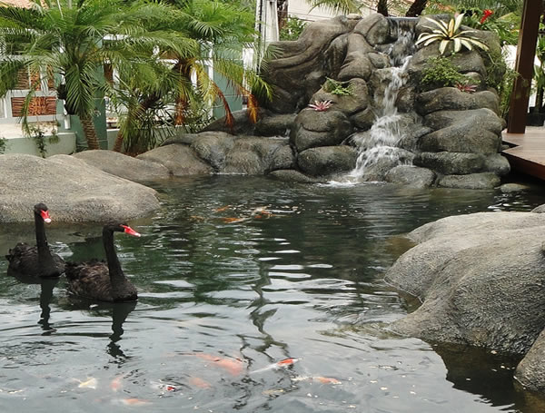 Vida e Arte Paisagismo e Decoração, Maricá, São Gonçalo