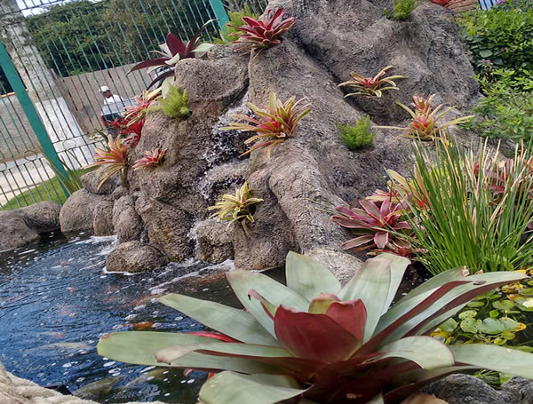 Vida e Arte Paisagismo e Decoração, Maricá, São Gonçalo